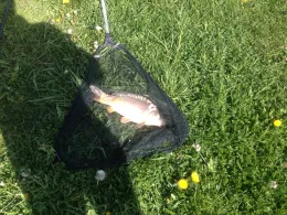 Langer Weiher (Veitsbronn)-1