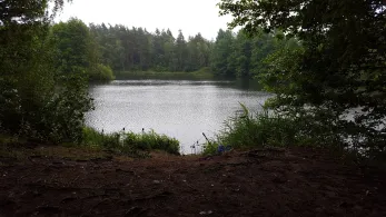 Kiessee Vierhöfen-1