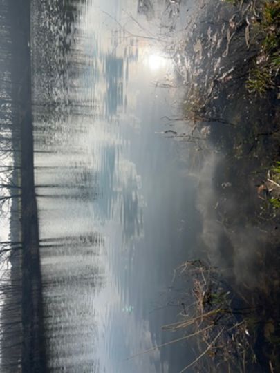 Erdelöcher Netzen (Nord)-2