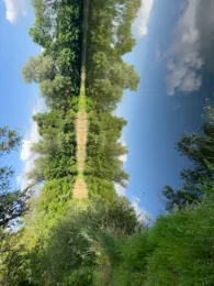 Erdelöcher Netzen (Nord)-1