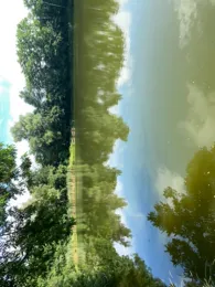 Erdelöcher Netzen (Nord)-4