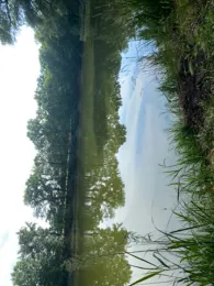 Erdelöcher Netzen (Nord)-3