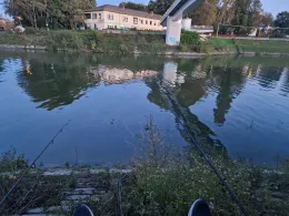 Luitpoldhafen (Ludwigshafen)-3