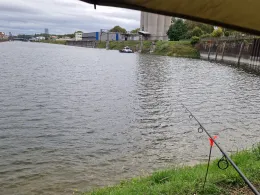 Luitpoldhafen (Ludwigshafen)-4