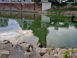 Luitpoldhafen (Ludwigshafen)-1