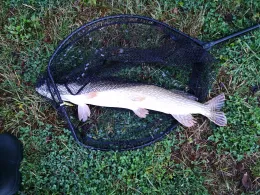 Tagebau (Engerode)-1