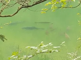 Tagebau (Engerode)-2