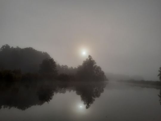 Warnow (Benitz)