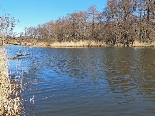 Warnow (Benitz)-3