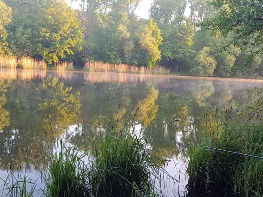 Gotteshülfe Teich ALLE ANGELN