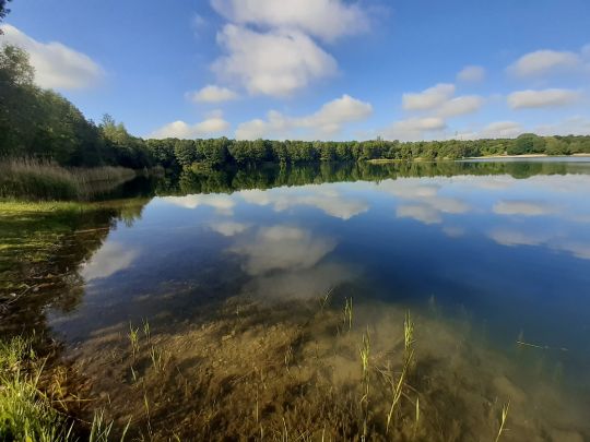 Wilstedter See (Costa Kiesa)-1