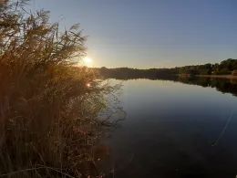 Wilstedter See (Costa Kiesa)