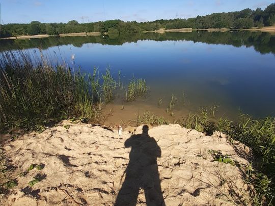 Wilstedter See (Costa Kiesa)-2