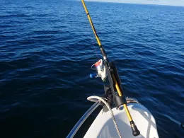 Ostsee - Mecklenburger Bucht (auf See)-4