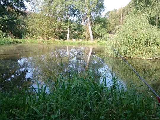 Forellenteich Quentel-1