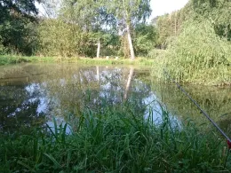 Forellenteich Quentel-1