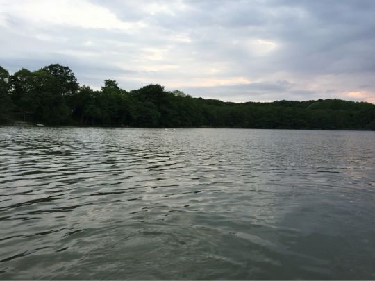 Großer Krebssee (Bansin)-1