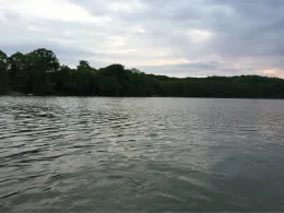 Großer Krebssee (Bansin)-1