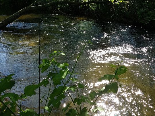 Kalterbach (Hebertshausen)-2