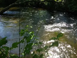 Kalterbach (Hebertshausen)-2