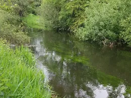 Kalterbach (Hebertshausen)