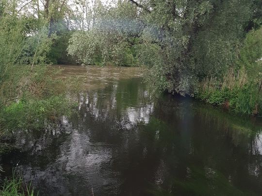 Kalterbach (Hebertshausen)-4