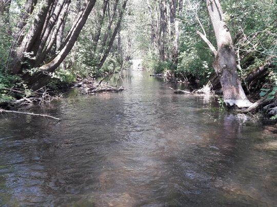 Kalterbach (Hebertshausen)-1