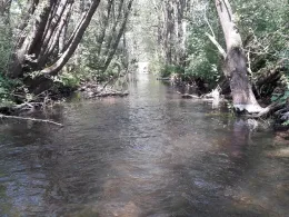 Kalterbach (Hebertshausen)-1