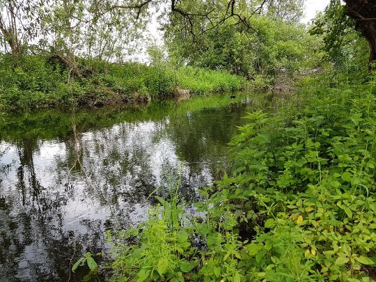 Kalterbach (Hebertshausen)-3