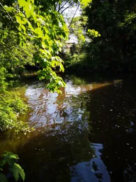 Aschau (Beedenbostel) 