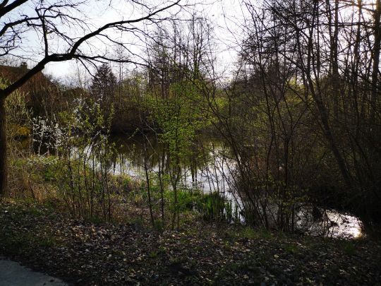 Aschau (Beedenbostel) -2