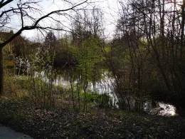 Aschau (Beedenbostel) -2