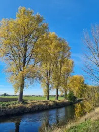 Rur (Heinsberg/Wassenberg)-3