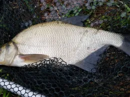 Eisenbahndock (Weener)-4