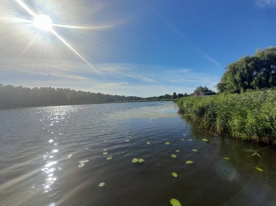 Klostersee (Dargun) angeln