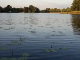 Klostersee (Dargun)-1