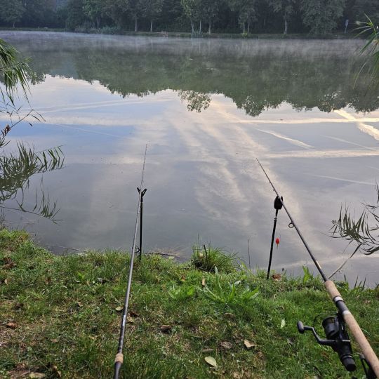 Unterer Seewaldsee (Horrheim)-1