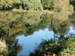 Lahn (Limburg/Lahn)-4