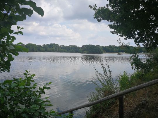 Irenensee (Uetze)-2
