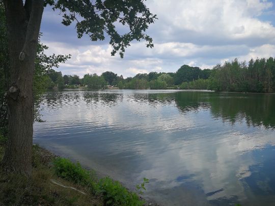 Irenensee (Uetze)-4