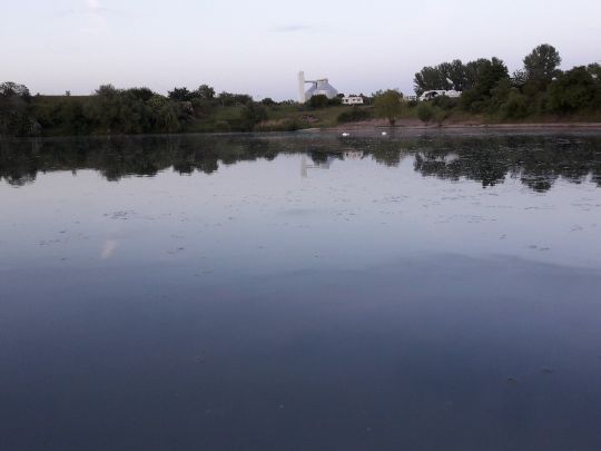 Erfurter See (Kühnhausen)-3