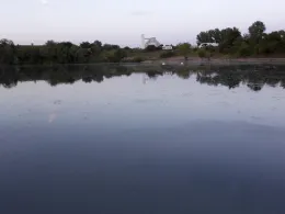 Erfurter See (Kühnhausen)-3