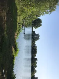 Sielingsee (Hohenbökener See)-1