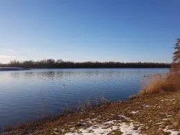 Rhein (Schwanau-Ottenheim)-3