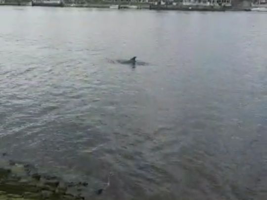 Trave (Travemünde)-2