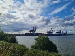 Süderelbe (Hamburg-Köhlbrand)-4