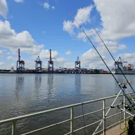 Süderelbe (Hamburg-Köhlbrand)-3