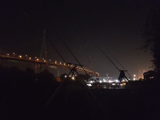 Süderelbe (Hamburg-Köhlbrand)-2