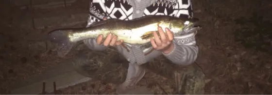 Oder-Spree-Kanal (Müllrose)-1