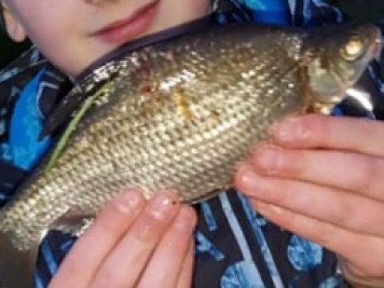 Oder-Spree-Kanal (Müllrose)-2